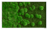 Moss picture merge: Pole and forest moss picture merge 100x60 Moss picture merge: Pole and forest moss picture merge 100x60