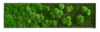 Moss picture merge: Pole and forest moss picture merge 140x40 Moss picture merge: Pole and forest moss picture merge 140x40