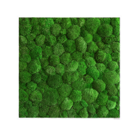 Moss picture: Pole moss picture 80x80 Moss picture: Pole moss picture 80x80
