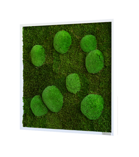 Moss picture: Pole and forest moss picture 55x55