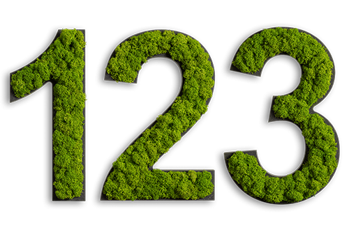 Pictogram: Letter Reindeer moss