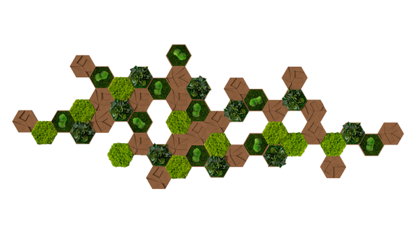 Cork Hexagon Pack of 50