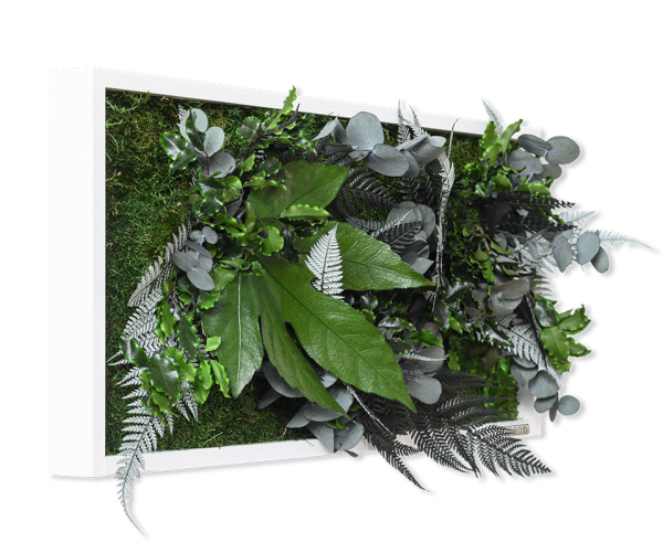 plant pictures with jungle design 57x27cm solid wood frame (white)