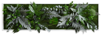 plant pictures with jungle design 140x40cm solid wood frame (white) plant pictures with jungle design 140x40cm solid wood frame (white)