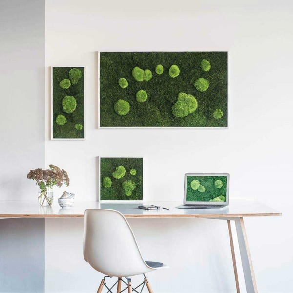 Moss picture: Pole and forest moss picture 55x55