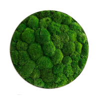 Moss picture: Pole moss-ellipsoid 54cm Moss picture: Pole moss-ellipsoid 54cm