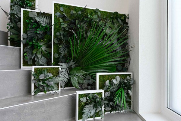 plant pictures with jungle design 55x55cm solid wood frame (white)