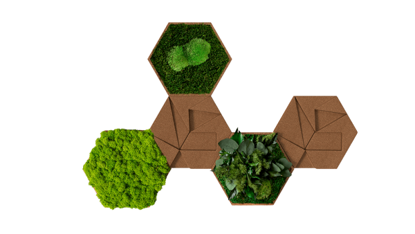 Cork Hexagon Pack of 5