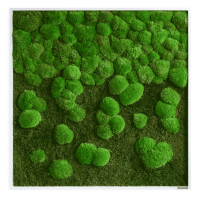 Moss picture merge: Pole and forest moss picture merge 80x80 Moss picture merge: Pole and forest moss picture merge 80x80