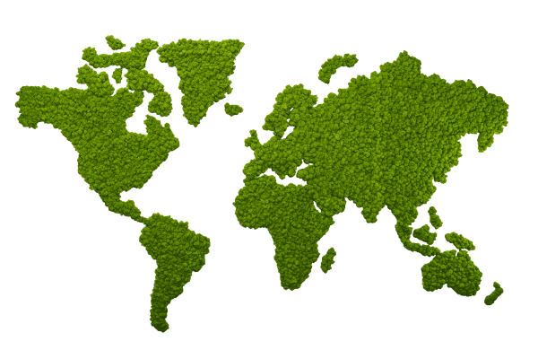 World map made of reindeer moss
