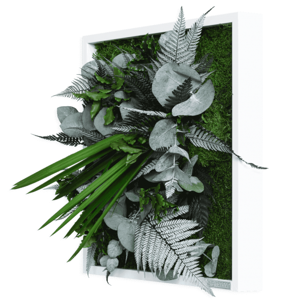 plant pictures with jungle design 35x35cm solid wood frame (white)