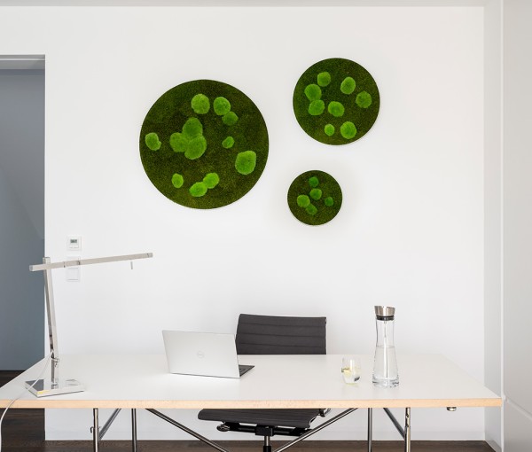 Moss picture: Forest and pole moss circle 80cm