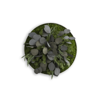 Pflanzenbild: Green Islands Leafs 34cm Pflanzenbild: Green Islands Leafs 34cm