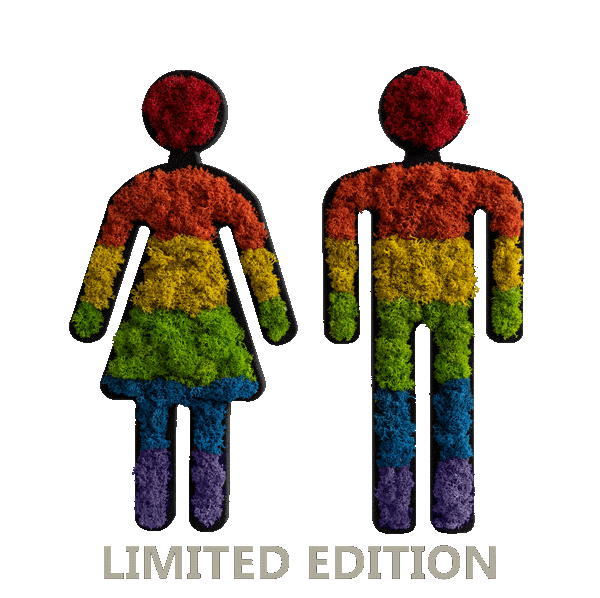Pictogram: moss couple 25cm multicolored