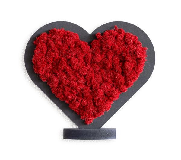 Pictogram Sweetheart red