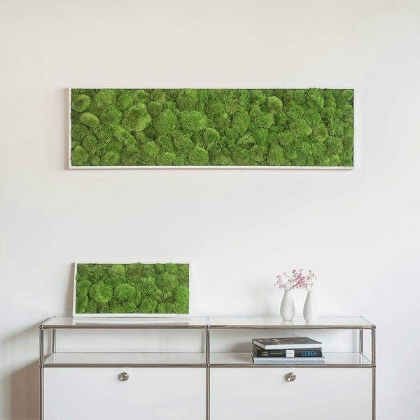 Moss picture: Pole moss picture 140x40