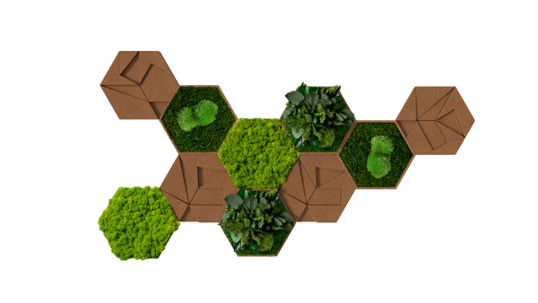 Cork Hexagon Pack of 10