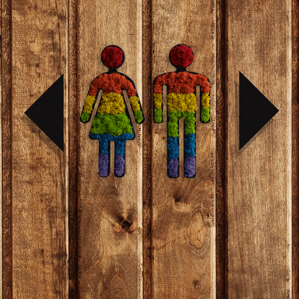 Pictogram: moss couple 25cm multicolored