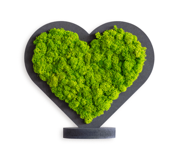Pictogram Sweetheart green