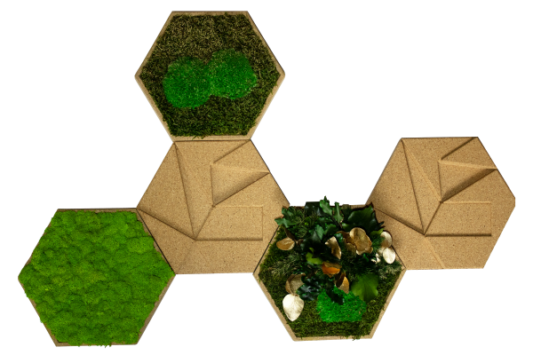 Cork Hexagon Pack of 5 gold