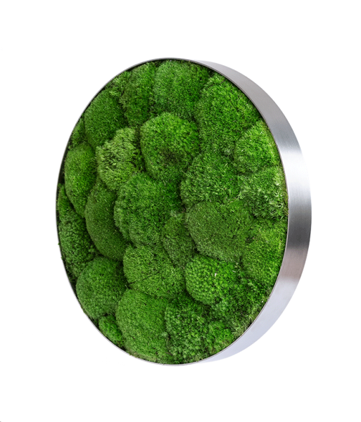 Moss picture: Pole moss-ellipsoid 34cm