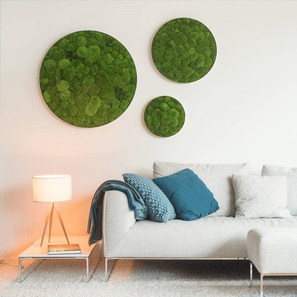 Pole moss circles set ambiance