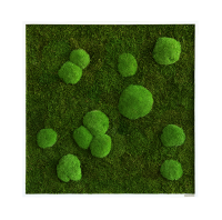 Moss picture: Pole and forest moss picture 80x80 Moss picture: Pole and forest moss picture 80x80