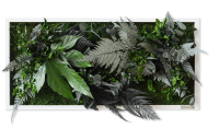 plant pictures with jungle design 57x27cm solid wood frame (white) plant pictures with jungle design 57x27cm solid wood frame (white)