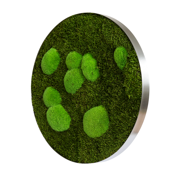 Moss picture: Forest and pole moss circle 54cm
