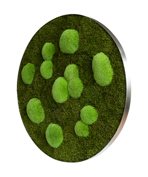 Moss picture: Forest and pole moss circle 80cm