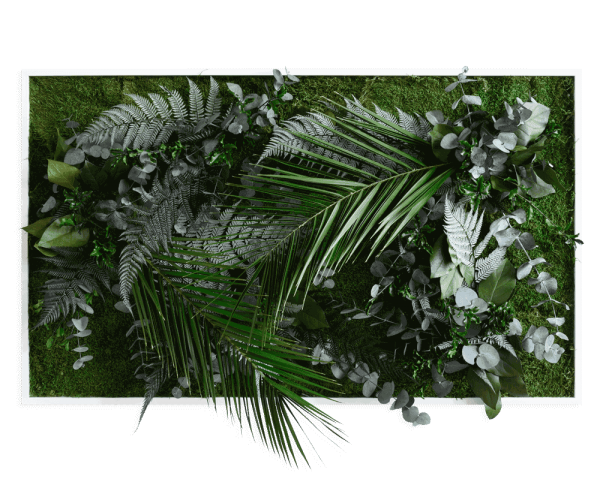 plant pictures with jungle design 100x60cm solid wood frame (white)