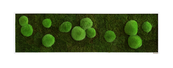 Moss picture: Pole and forest moss picture 140x40cm