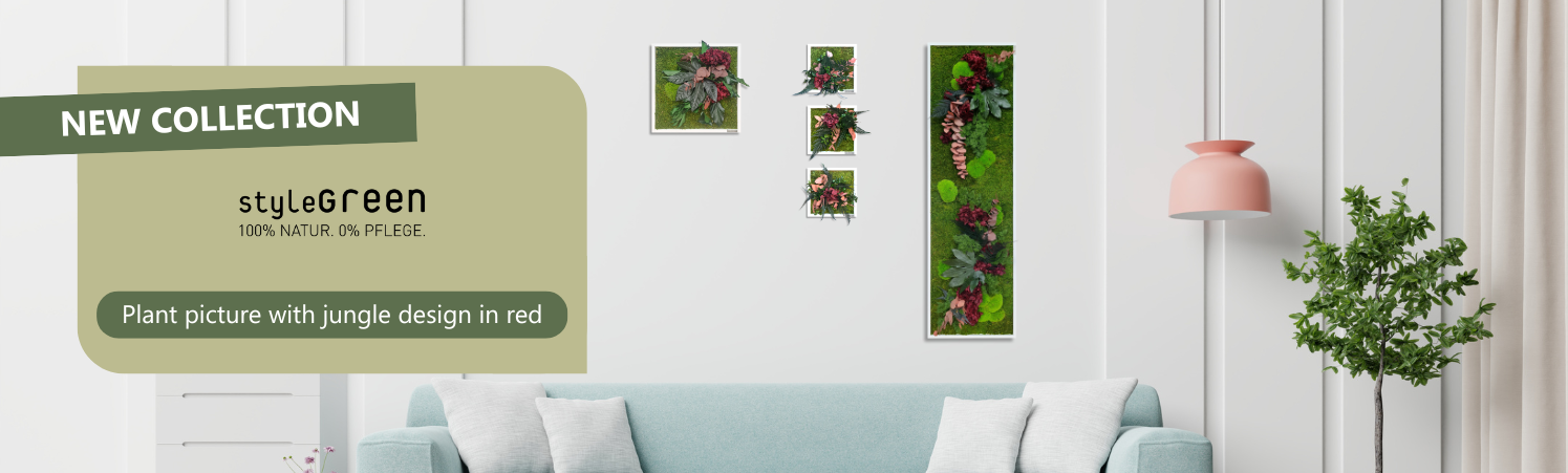 Shop-Kategoriebanner-Launch-rote-Hortensie-EN