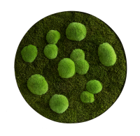 Moss picture: Forest and pole moss circle 80cm Moss picture: Forest and pole moss circle 80cm