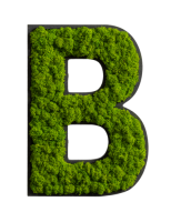 Pictogram: Letter B Reindeer moss May green Adhesive points Pictogram: Letter B Reindeer moss May green Adhesive points