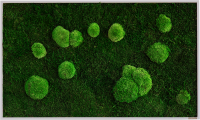 Moss picture: Pole and forest moss picture 100x60 Moss picture: Pole and forest moss picture 100x60