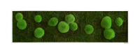 Moss picture: Pole and forest moss picture 140x40cm Moss picture: Pole and forest moss picture 140x40cm