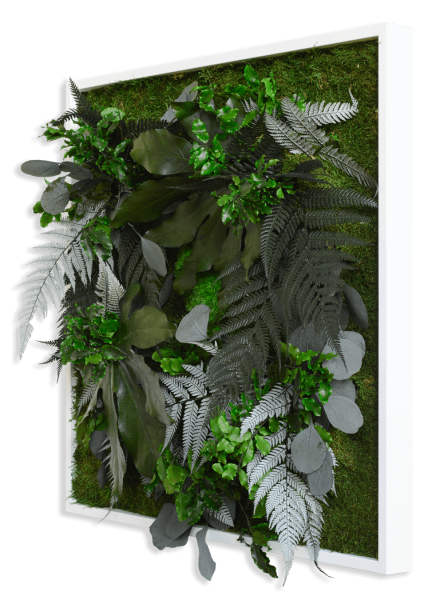 plant pictures with jungle design 55x55cm solid wood frame (white)