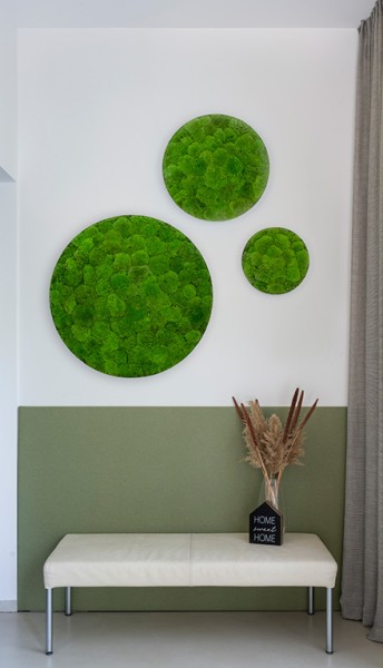 Moss picture: Pole moss-ellipsoid 80cm