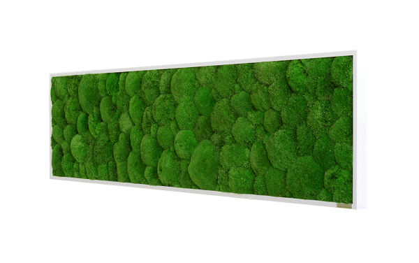 Moss picture: Pole moss picture 140x40