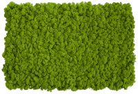 Islandmoos Flex Elemente 2 * 100x60cm Maigrün Islandmoos Flex Elemente 2 * 100x60cm Maigrün