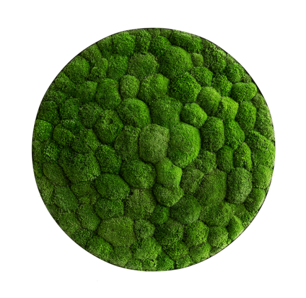 Moss picture: Pole moss-ellipsoid 80cm