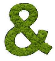 Reindeer moss special character & Reindeer moss special character &