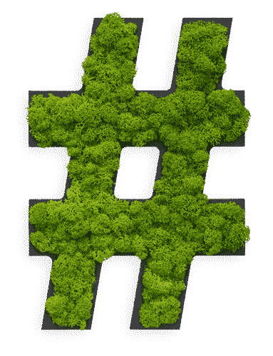 Pictogram: Special symbol "hashtag" Reindeer moss