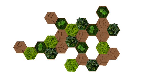 Cork Hexagon Pack of 25