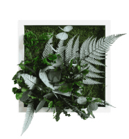 plant pictures with jungle design 22x22cm solid wood frame (white) plant pictures with jungle design 22x22cm solid wood frame (white)