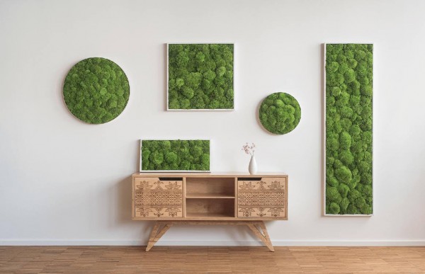 Moss picture: Pole moss picture 55x55