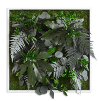 plant pictures with jungle design 55x55cm solid wood frame (white) plant pictures with jungle design 55x55cm solid wood frame (white)