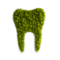 Tooth small reindeer moss (30cm) Tooth small reindeer moss (30cm)