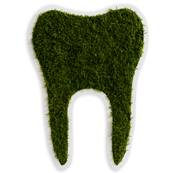 Pictogram: Tooth large forest moss (50 cm)